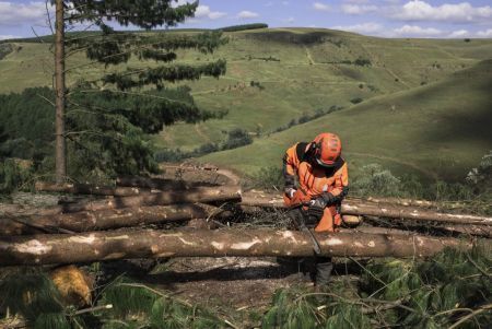 565 Chainsaw